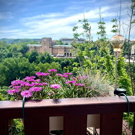 The Green Guest House Of Veliko Tarnovo-Amazing View, Top Location Eksteriør billede