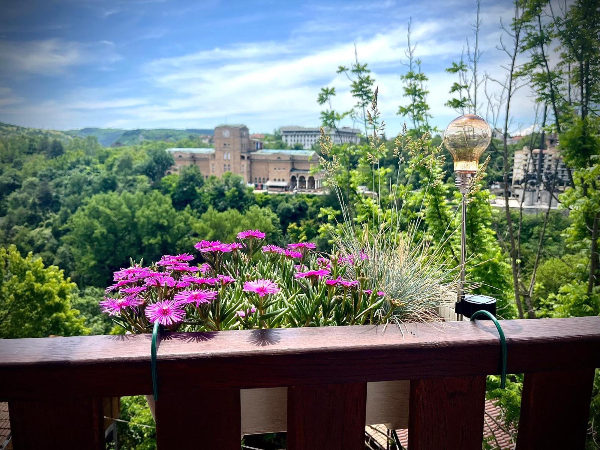 The Green Guest House Of Veliko Tarnovo-Amazing View, Top Location Eksteriør billede
